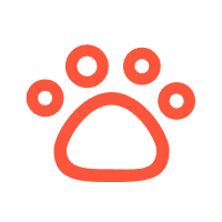 designdogtoys.com favicon